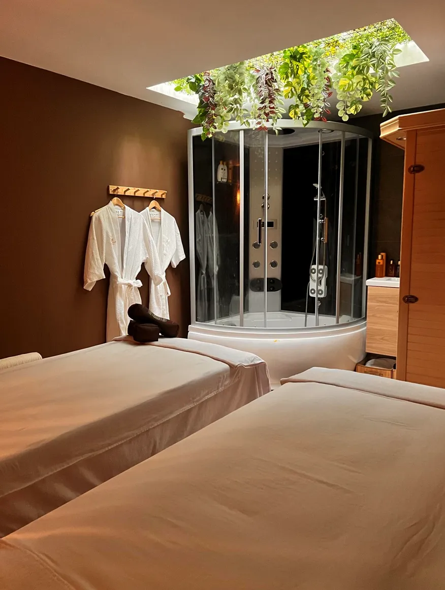 WELLNESS-HOORN-geconverteerd-van-png